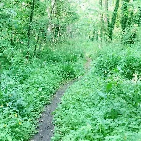 לינה וארוחת בוקר Lacken Millhouse And Gardens *