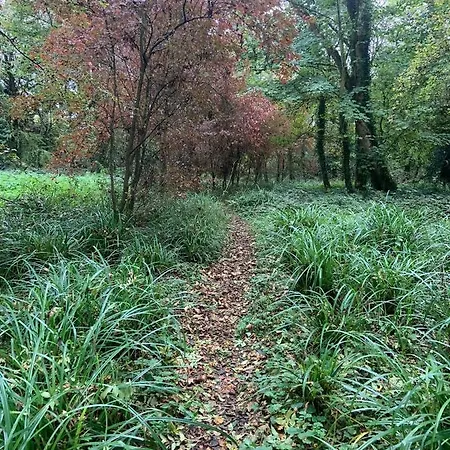 Lacken Millhouse And Gardens לינה וארוחת בוקר קאבן