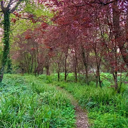 Lacken Millhouse And Gardens *