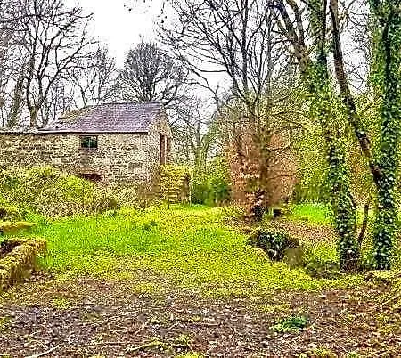 Bed & Breakfast Lacken Millhouse And Gardens