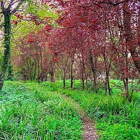 Lacken Millhouse And Gardens Bed & Breakfast Cavan