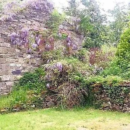 Lacken Millhouse And Gardens Bed & Breakfast *