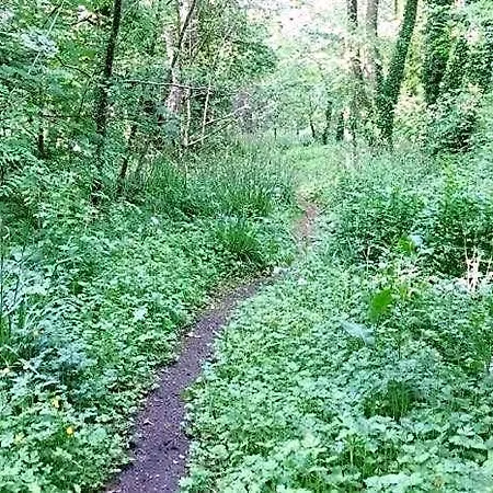 Lacken Millhouse And Gardens * Cavan