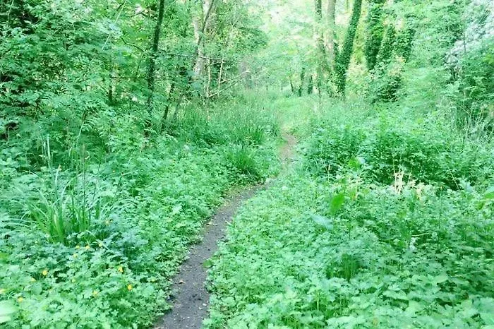 Couette-café Lacken Millhouse And Gardens *