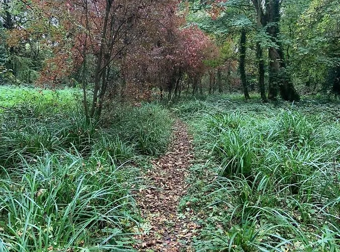 Lacken Millhouse And Gardens Couette-café Cavan