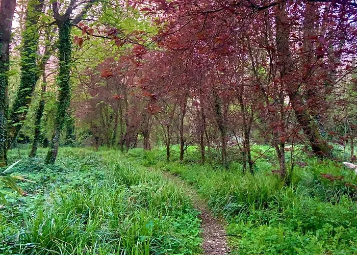 Lacken Millhouse And Gardens *