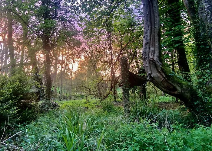 Couette-café Lacken Millhouse And Gardens Cavan